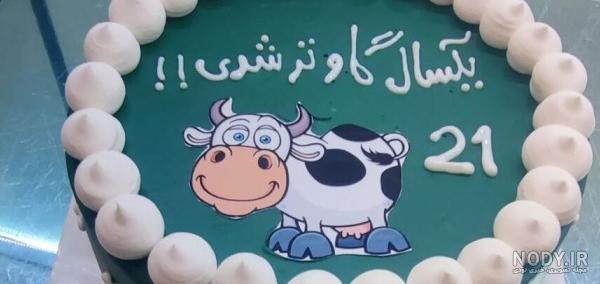 عکس گاو رسمی عکس گاو رسمی