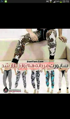 عکس گاو صندوق پر پول