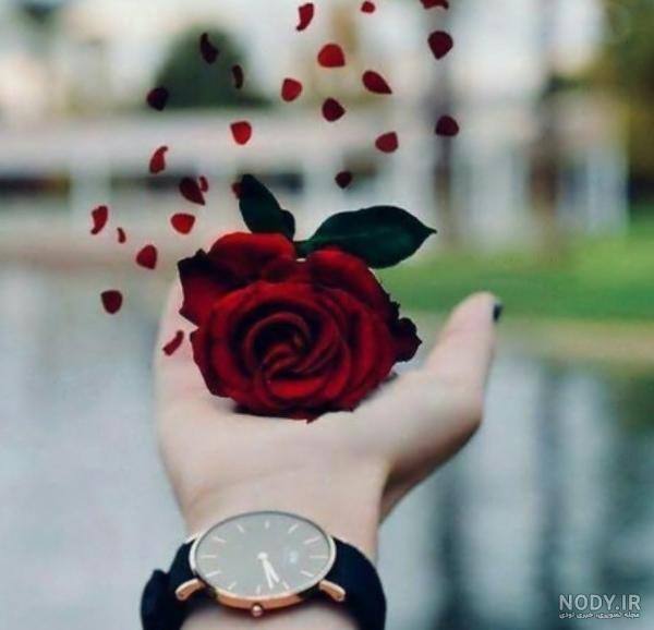 عکس گل برای پروفایل دخترانه شیک
