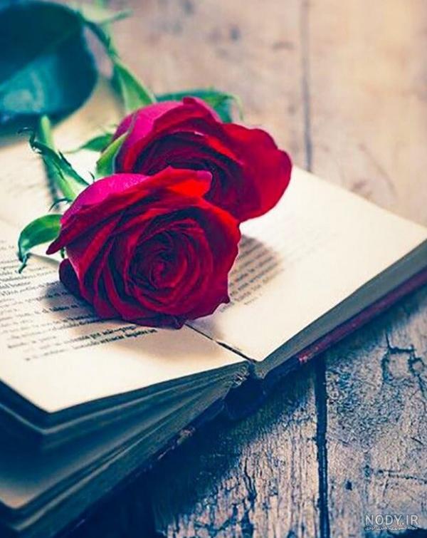 عکس گل برای پروفایل روبیکا عکس گل برای پروفایل روبیکا