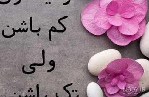 عکس گل برای پروفایل واتساپ | عکس گل برای پروفایل واتساپ دخترانه ...