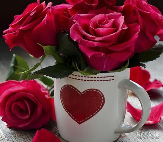 عکس گل برای پروفایل گروه خانوادگی