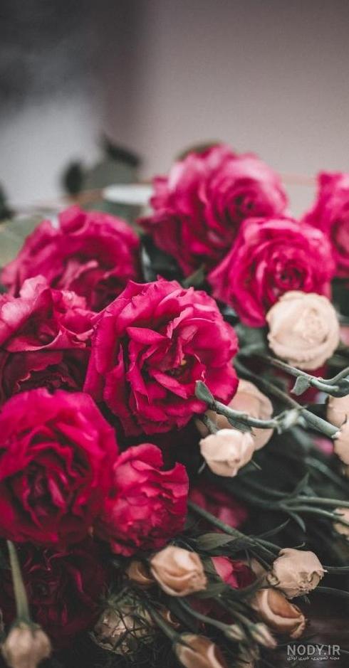 عکس گل برای پروفایل گروه دوستانه