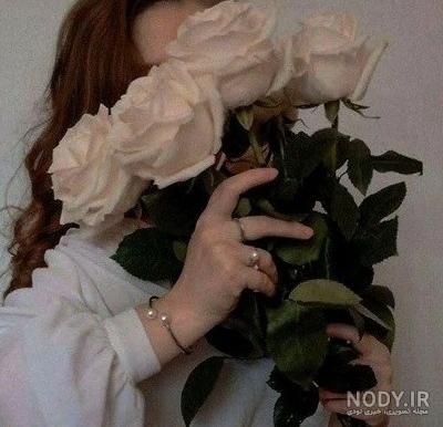 عکس گل رز برای پروفایل روبیکا عکس گل رز برای پروفایل روبیکا