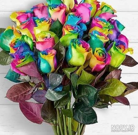 عکس گل زیبا برای پروفایل گروه