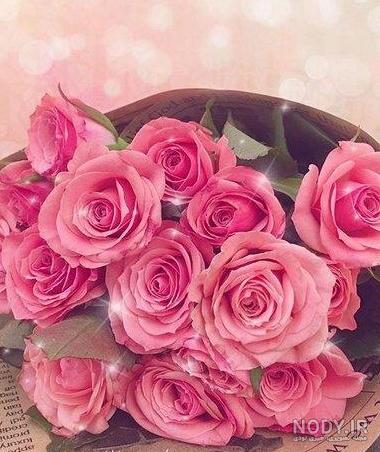 عکس گل زیبا برای پروفایل گروه