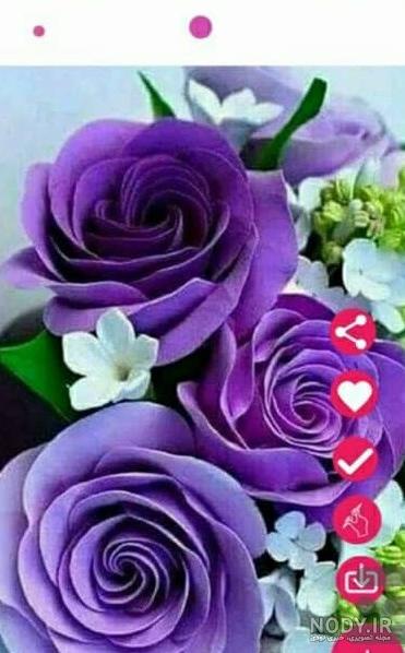 عکس گل زیبا تصویر زمینه عکس گل زیبا تصویر زمینه