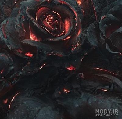 عکس گل پژمرده برای پروفایل + تصاویر غمگین از گل های زیبا