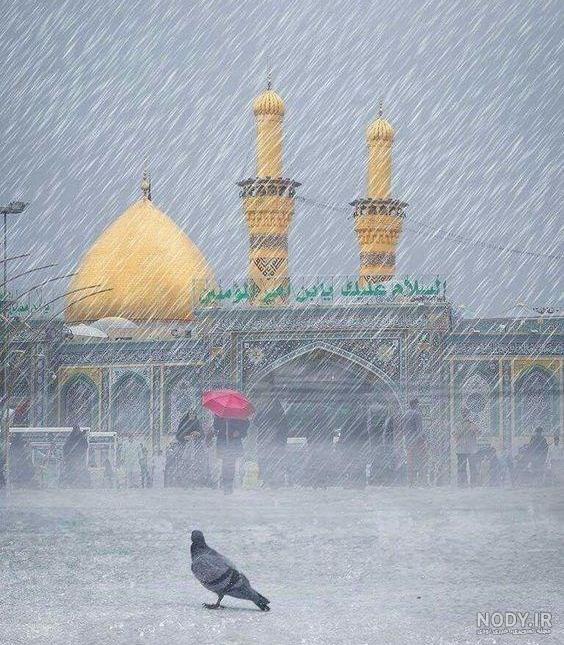 مراسم پر فیض دعای عرفه در حرم امام رضا (ع) برگزار شد+ تصاویر