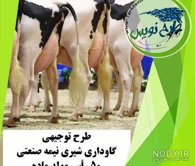 گاوداری صنعتی در ورامین | خبرگزاری فارس