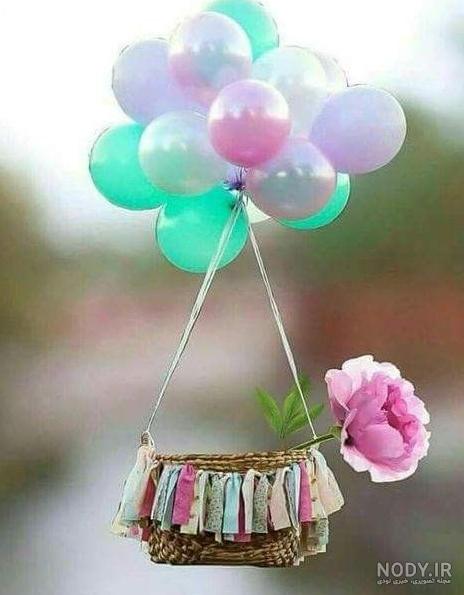 ۲۳ عکس گل برای پروفایل واتساپ، اینستا و تلگرام - ستاره