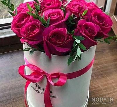 100 عکس گل های زیبا و قشنگ برای پروفایل | عکس پروفایل گل رز 100 عکس گل های زیبا و قشنگ برای پروفایل | عکس پروفایل گل رز