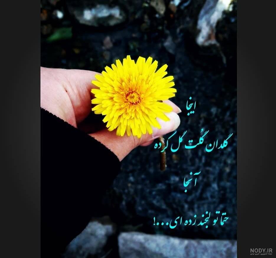 عکس نوشته گل؛ راهی جذاب برای ارسال پیام به دیگران عکس نوشته گل؛ راهی جذاب برای ارسال پیام به دیگران