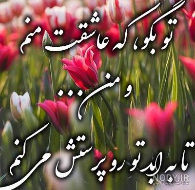 عکس پروفایل گل های رز زیبا و رویایی عاشقانه [فانتزی و جدید]