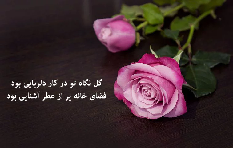 عکس پروفایل گل های رز زیبا و رویایی عاشقانه [فانتزی و جدید]