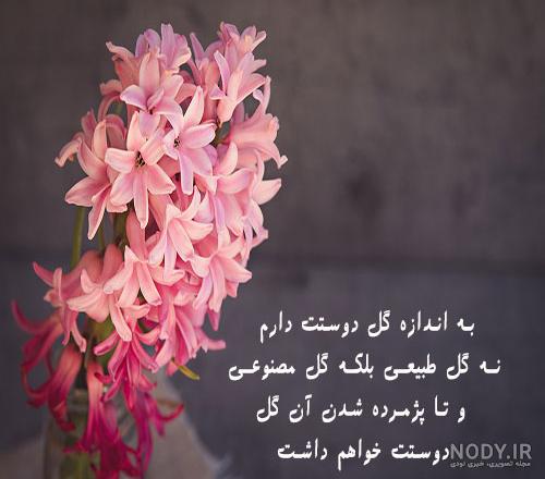 عکس پروفایل گل زیبا با متن عکس پروفایل گل زیبا با متن