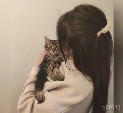 عکس گربه ملوس برای پروفایل دخترانه - عکس نودی