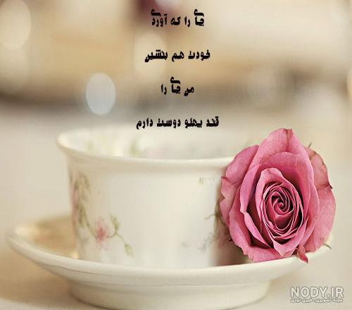 عکس گل با متن زیبا برای پروفایل عکس گل با متن زیبا برای پروفایل