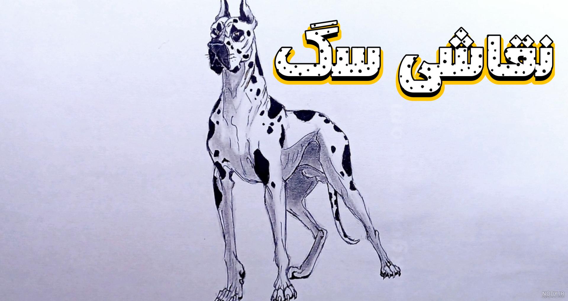 ویدیو آموزش نقاشی نیسان آبی ویدیو آموزش نقاشی نیسان آبی