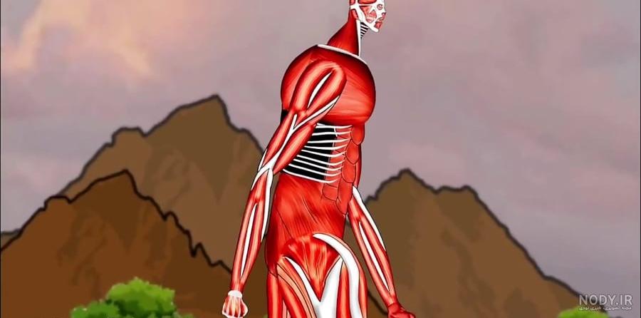9 تایتان در سریال Attack on Titan و خصوصیات آنها | فروشگاه ... 9 تایتان در سریال Attack on Titan و خصوصیات آنها | فروشگاه ...