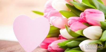 120 عکس پروفایل گل زیبا | زیباترین عکس های گل برای پروفایل 120 عکس پروفایل گل زیبا | زیباترین عکس های گل برای پروفایل