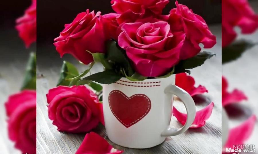 عکس برای پروفایل شاد دخترونه شیک ❤️ [ بهترین تصاویر ]