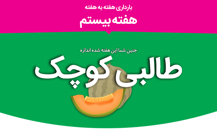 عکس جنین پسر در سونوگرافی - دکتر فاطمه نعمت اللهی - متخصص زنان و ...