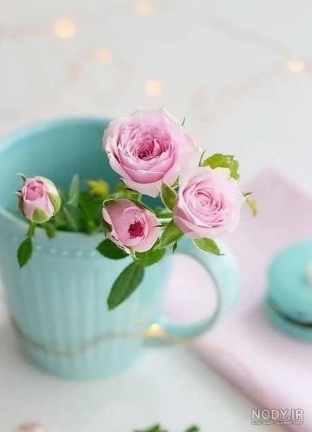 عکس گل با گلدان برای پروفایل