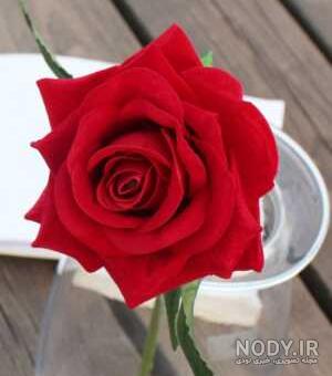 عکس گل برای پروفایل ، عکسهای فانتزی گل های زیبا برای پروفایل ... عکس گل برای پروفایل ، عکسهای فانتزی گل های زیبا برای پروفایل ...