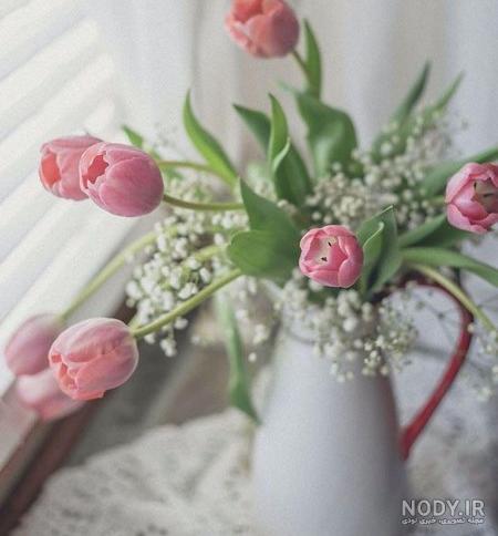عکس گل رز برای پروفایل تلگرام و اینستاگرام • مجله تصویر زندگی