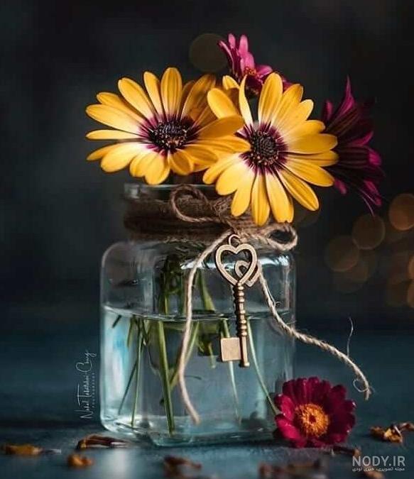 عکس گل های زیبا برای پروفایل عکس گل های زیبا برای پروفایل