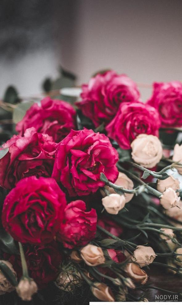 عکس گل زیبا دخترانه عکس گل زیبا دخترانه