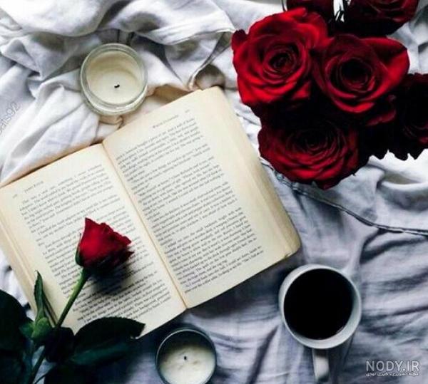 عکس گل 1401 | عکس گل برای پروفایل شاد | عکس گل برای پروفایل شاد ... عکس گل 1401 | عکس گل برای پروفایل شاد | عکس گل برای پروفایل شاد ...