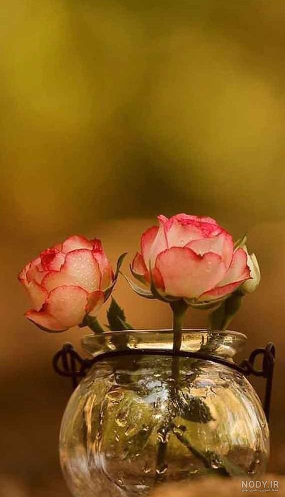 عکس گل و گلدان برای پروفایل
