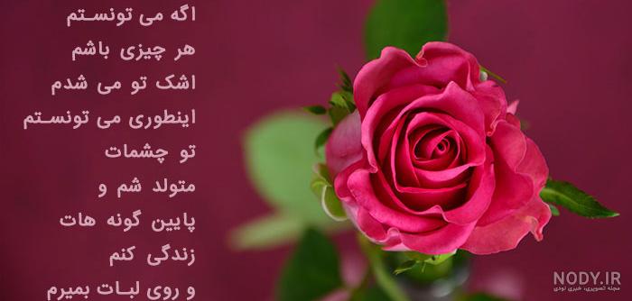 گالری عکس گل های زیبا برای استفاده در پروفایل تلگرام و اینستاگرام