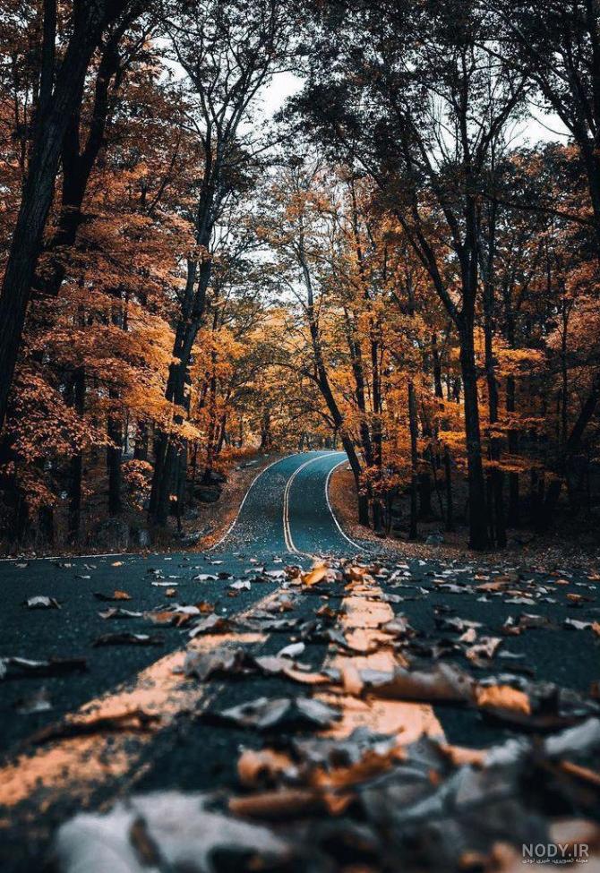 یک عکس زیبا برای تصویر زمینه گوشی یک عکس زیبا برای تصویر زمینه گوشی