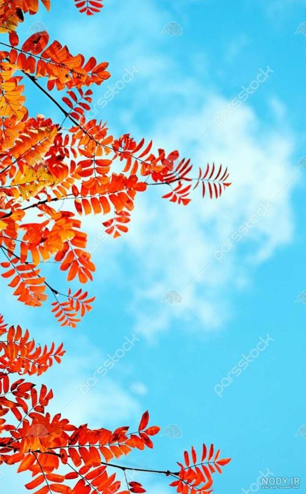 تصویر زمینه روشن برای گوشی تصویر زمینه روشن برای گوشی