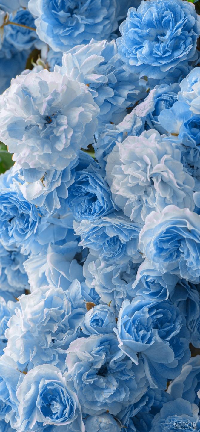 عکس برای تصویر زمینه گوشی روشن عکس برای تصویر زمینه گوشی روشن