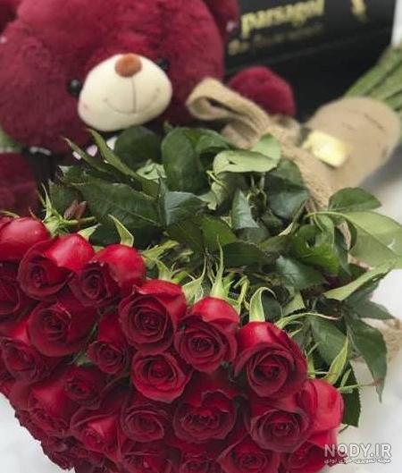 عکس گل سرخ زیبا برای پروفایل عکس گل سرخ زیبا برای پروفایل