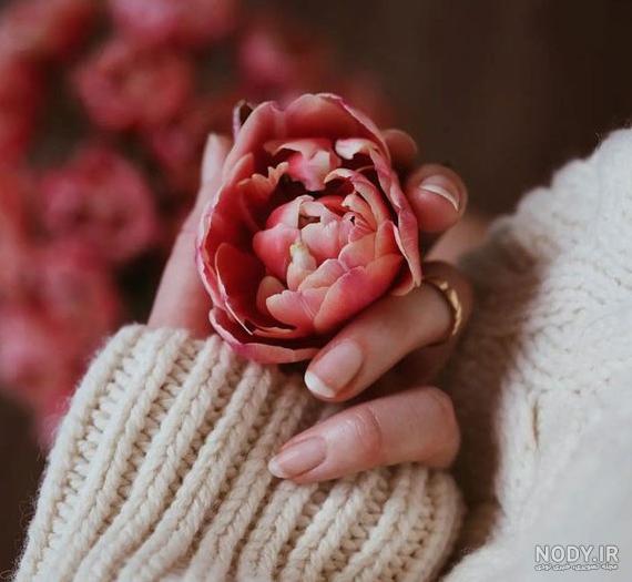 عکس گل 1401 | عکس گل برای پروفایل شاد | عکس گل برای پروفایل شاد ...
