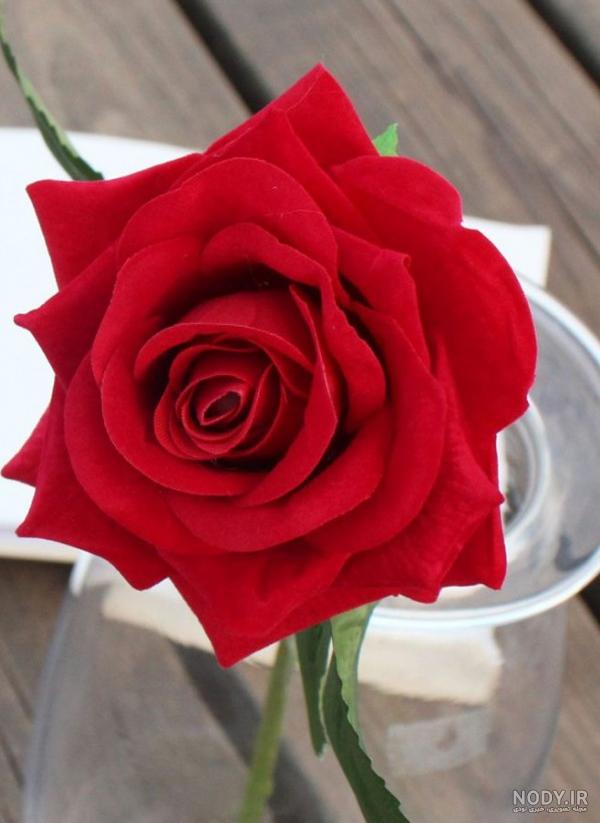 چند عکس گل زیبا برای پروفایل - عکس نودی چند عکس گل زیبا برای پروفایل - عکس نودی