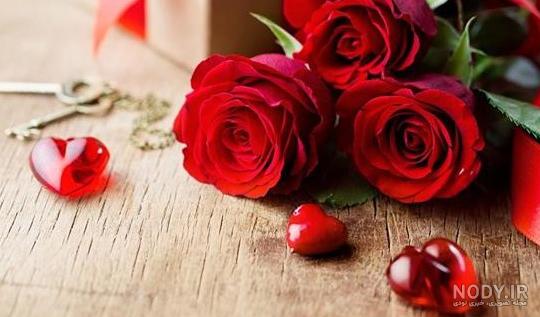 چندتا عکس گل زیبا برای پروفایل چندتا عکس گل زیبا برای پروفایل