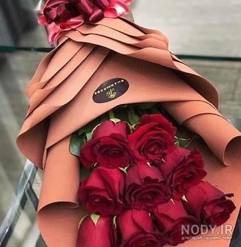 گالری عکس گل رز قرمز؛ عکس هایی جدید و فوق العاده برای پروفایل - ستاره گالری عکس گل رز قرمز؛ عکس هایی جدید و فوق العاده برای پروفایل - ستاره