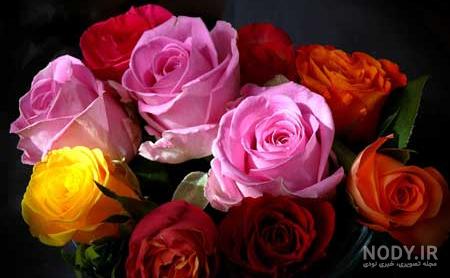 عکس گل زیبا برای پروفایل تلگرام