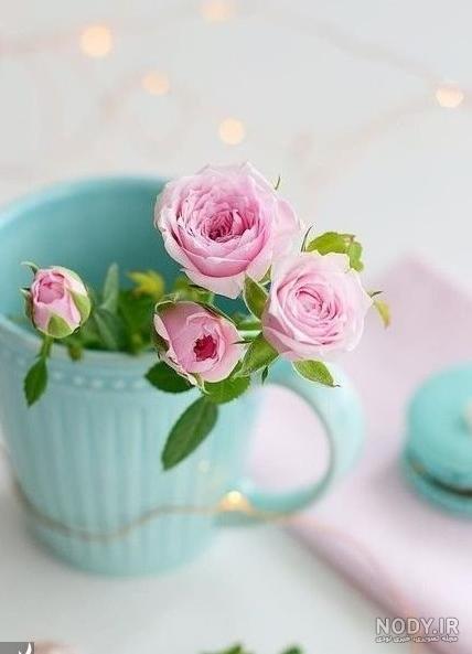 عکس گل های زیبا برای پروفایل ❤️ [ بهترین تصاویر ]