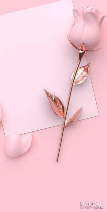 50 عکس گل و پروفایل گل زیبا برای واتساپ و تلگرام - Tjoor