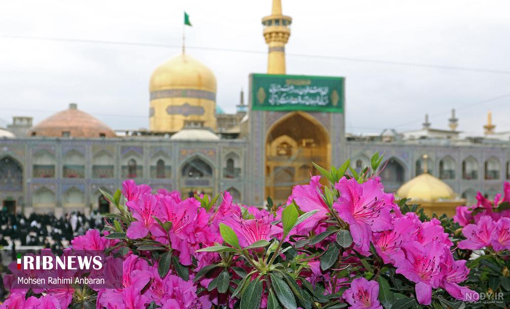بهار در بهار، در بهارستان دلگشای حضرت رضا(ع) - ایرنا