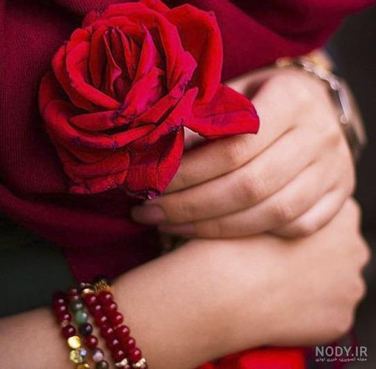 عکس عاشقانه گل برای پروفایل - عکس نودی