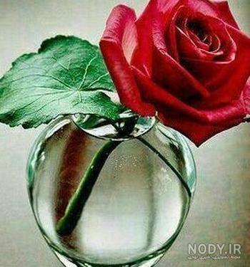 عکس های پروفایل گل