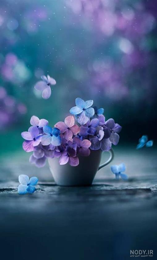 عکس پروفایل گل های خاص و زیبا · جدید ۱۴۰۳ -❤️ گهر عکس پروفایل گل های خاص و زیبا · جدید ۱۴۰۳ -❤️ گهر